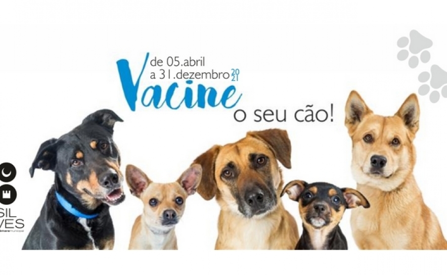 Campanha Oficial de Vacinação Antirrábica e de controlo de outras zoonoses (CVAR 2021)