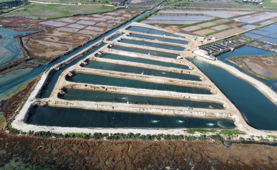 No âmbito dos roteiros «aMAR a Terra» a CCDR Algarve, I.P. divulga projetos regionais apoiados pelo MAR2020
