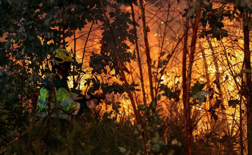 Portugal com 47 concelhos do interior Norte, Centro e Algarve em risco máximo de incêndio