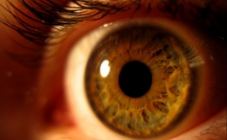 Retinopatia diabética causa 3 mil casos de cegueira por ano em Portugal