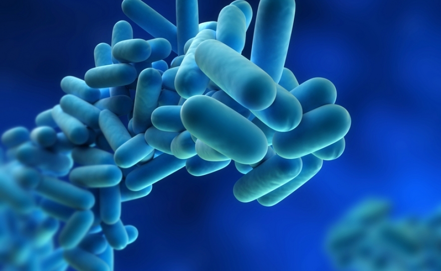 Legionella detetada em centro de saúde de Vila Real de Santo António