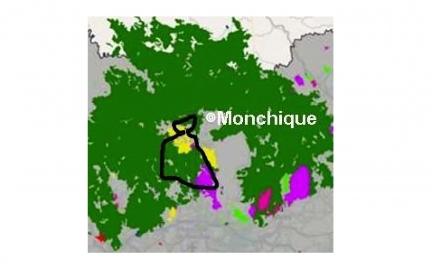 ALMARGEM | Serra de Monchique novamente a arder
