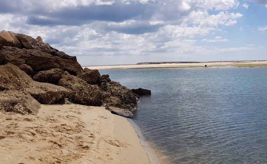 Banhos voltam a estar autorizados nas praias de Fuseta-Ria e Armação de Pera