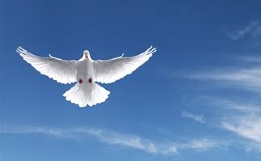 Morreu bebé que caiu de segundo andar em Lagos