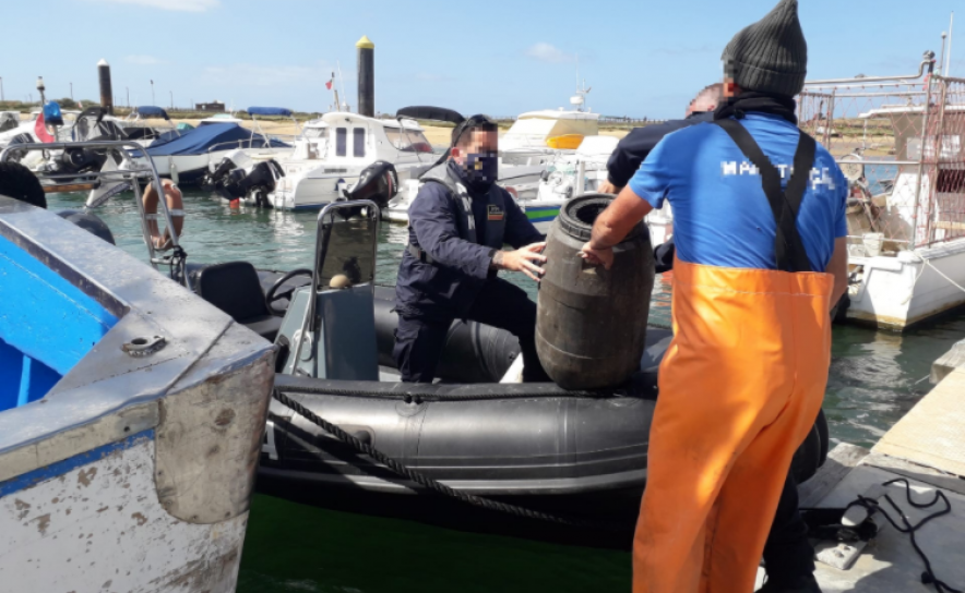 Polícia Marítima apreende um total de cerca de 57Kg de polvo em Portimão