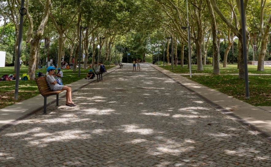 REDE DE REFÚGIOS CLIMÁTICOS NO CONCELHO DE LOULÉ