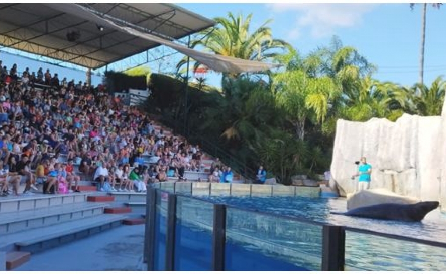 Zoomarine celebrou o Dia Mundial do Sorriso com cerca de 1200 crianças e jovens de instituições de solidariedade social do Algarve