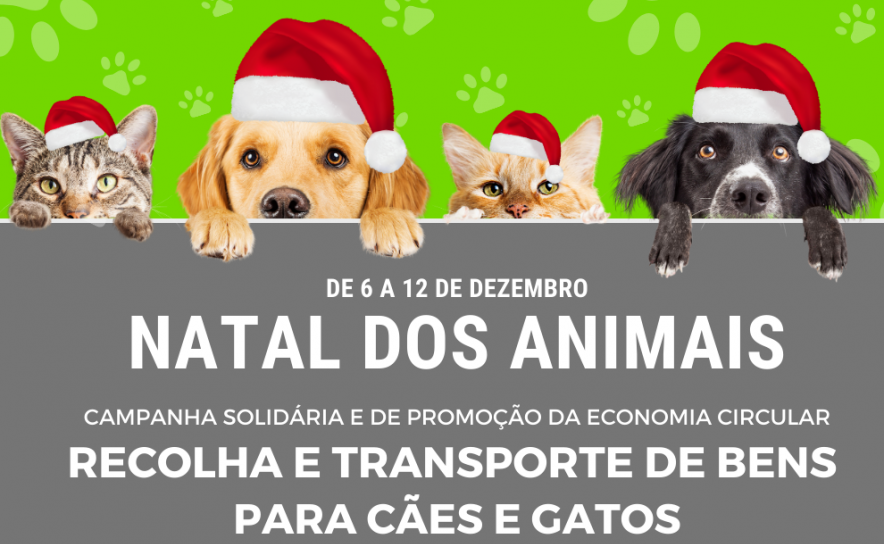 FlixBus promove economia circular em recolha solidária  para animais a favor da Animalife 