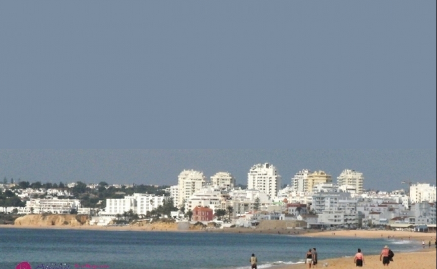 Câmara leva idosos e reformados a passear à praia
