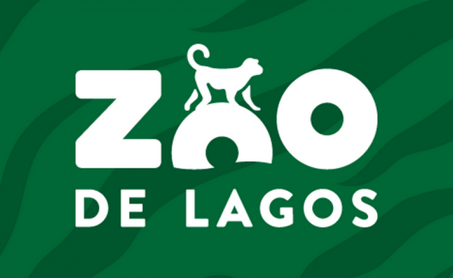 FÃS DE HARRY POTTER PREPAREM-SE: VAI ABRIR UM CENTRO DE MAGIZOOLOGIA NO ZOO DE LAGOS NO HALLOWEEN