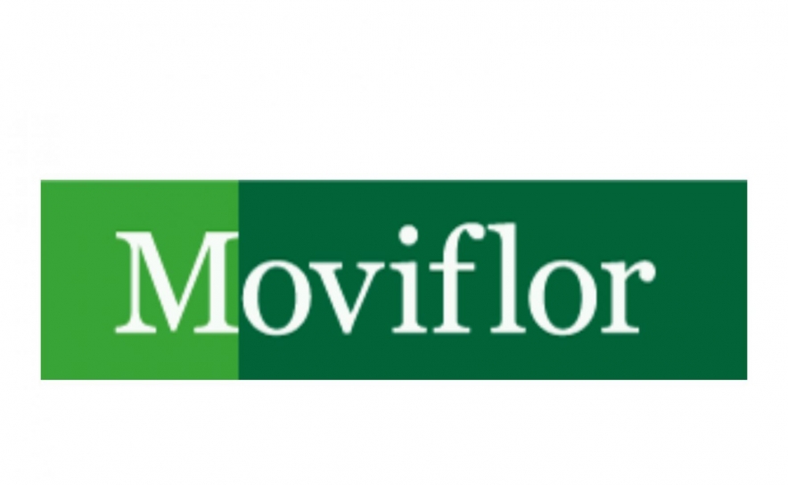 Trabalhadores da Moviflor de Olhão exigem pagamentos em atraso