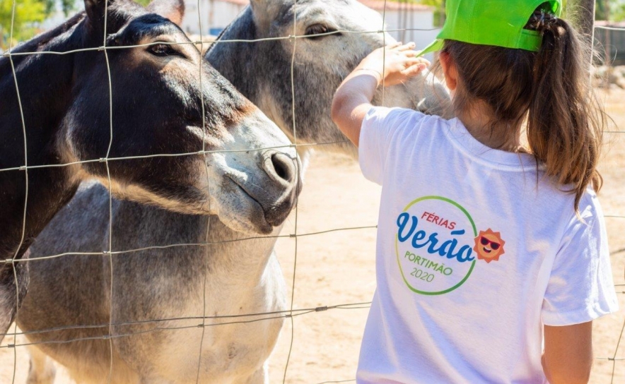 Férias de Verão - Núcleo Quinta Pedagógica