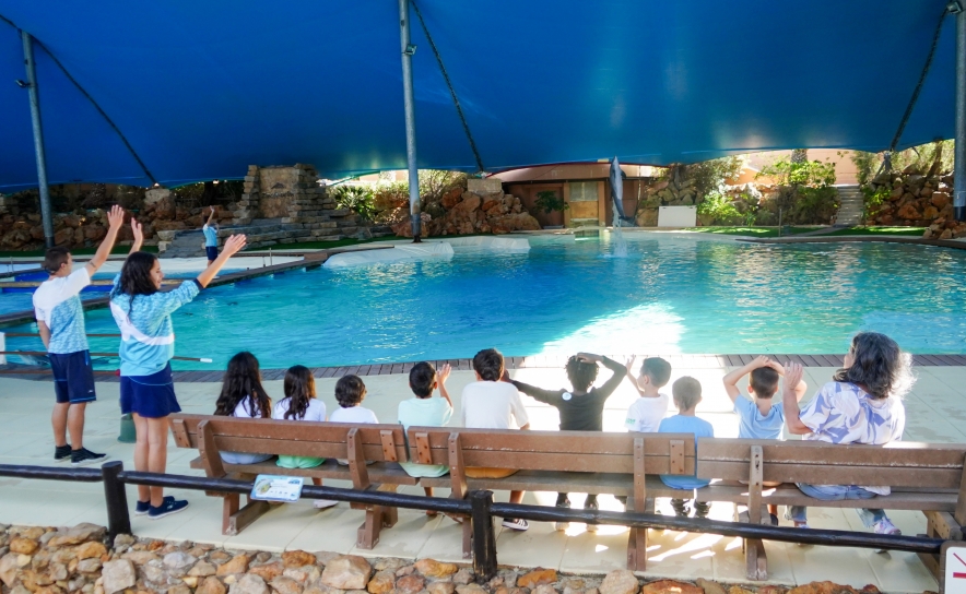 Zoomarine e ULS - Algarve proporcionam experiência especial a crianças e jovens com doença Zoomarine e ULS - Algarve proporcionam experiência especial a crianças e jovens com doença