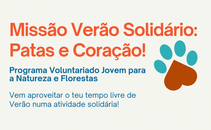 OPORTUNIDADE DE VOLUNTARIADO EM ALBUFEIRA  «MISSÃO VERÃO SOLIDÁRIO – PATAS E CORAÇÃO»