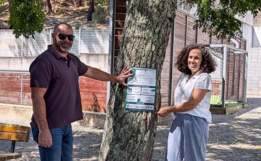 Campanha Europeia TreeTag 26  revela o valor «invisível» das árvores em Monchique