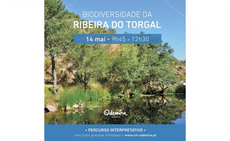 ODEMIRA PROMOVE VISITA GUIADA À BIODIVERSIDADE DA RIBEIRA DO TORGAL