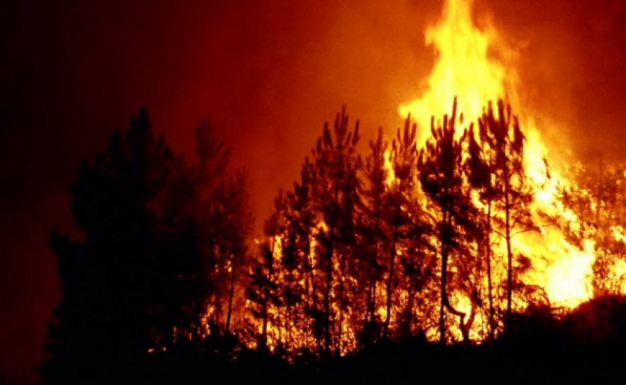 Incêndios: Dominado fogo no concelho de Silves