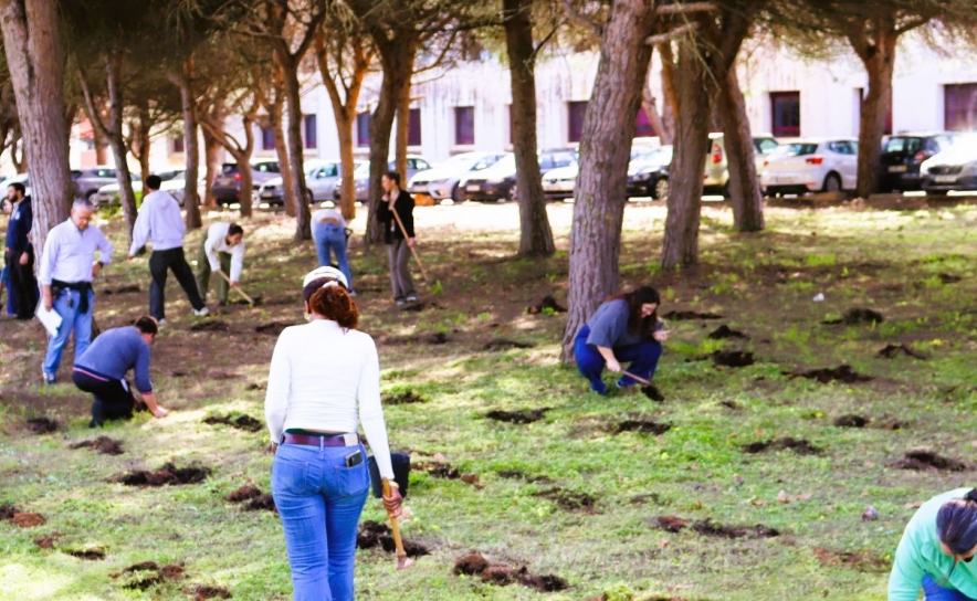 SEA-EU mobiliza comunidade académica para reforçar resiliência do Campus de Gambelas