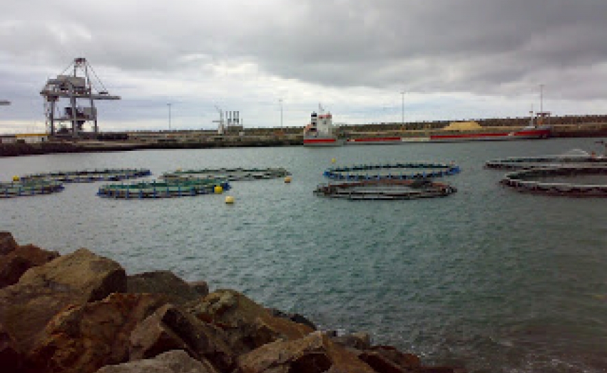 Município de Olhão é um dos parceiros  do I Congresso Ibérico de Aquacultura
