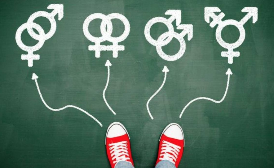 Escolas vão ter responsável para jovens manifestarem identidade de género
