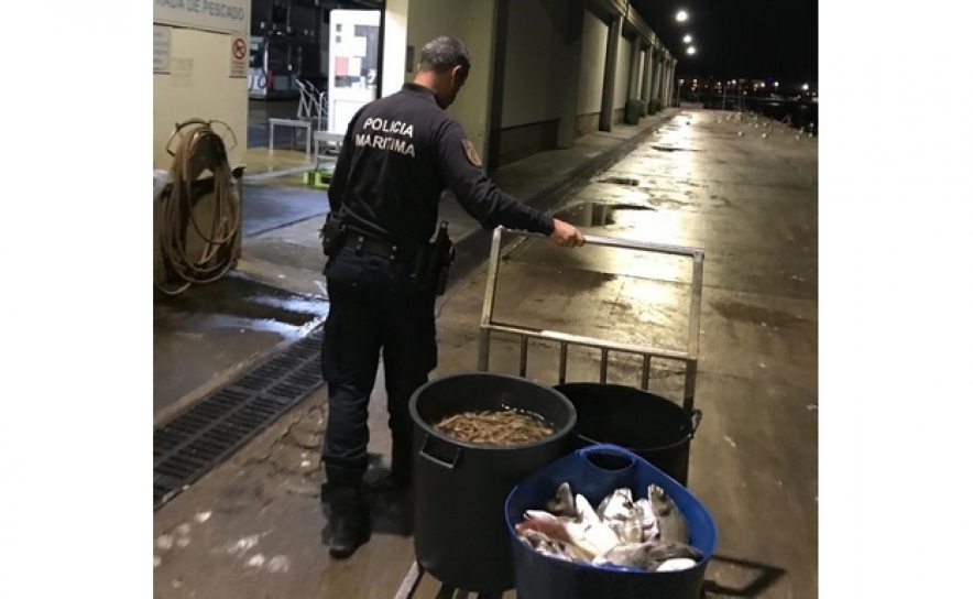 Polícia Marítima apreende cerca de 54kg de pescado em Alvor