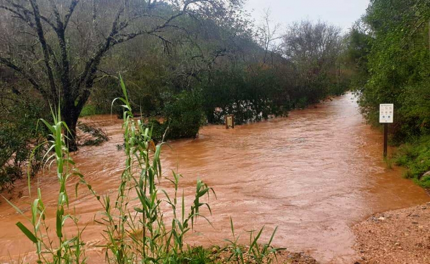 Mau tempo: Inundações no Algarve afetam sobretudo Olhão, Loulé, Silves e Albufeira