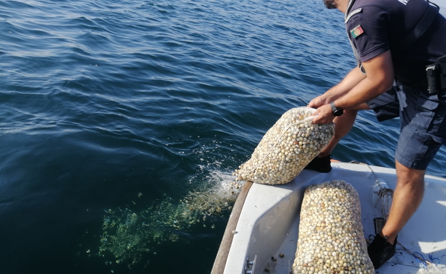 Polícia Marítima apreende 115kg de bivalves e duas artes de pesca na Ria Formosa em Olhão