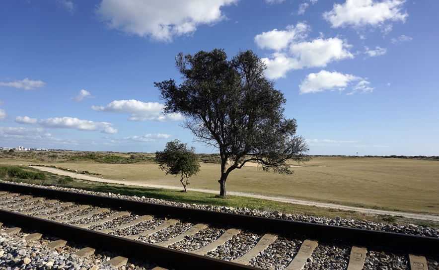 Colóquio vai recordar o passado e debater o presente e o futuro da ferrovia