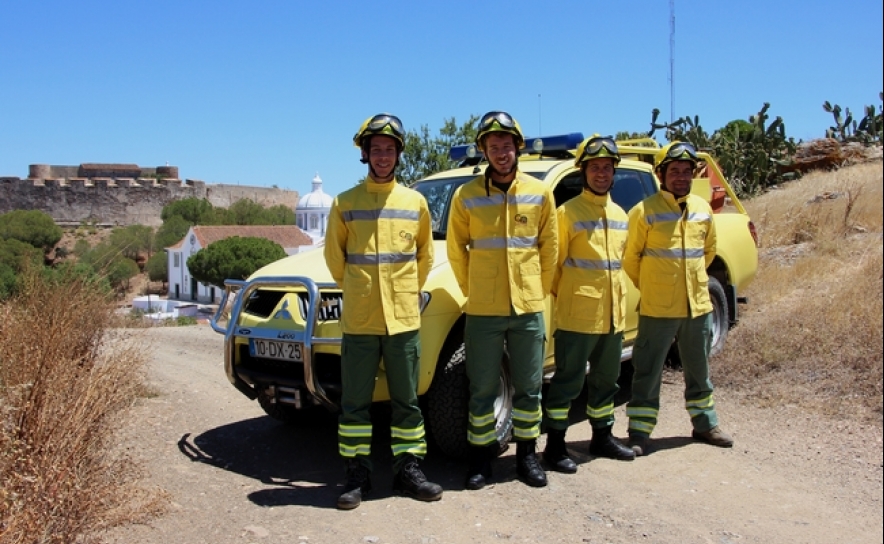 Equipa Municipal de Intervenção Florestal já está no terreno 