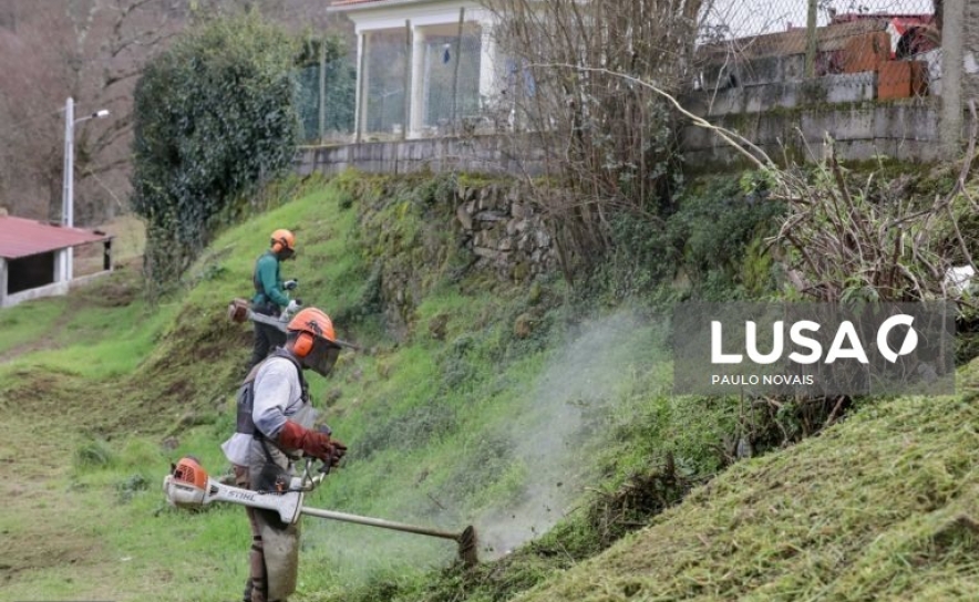 Prazo para limpar terrenos termina hoje após prorrogação devido à pandemia
