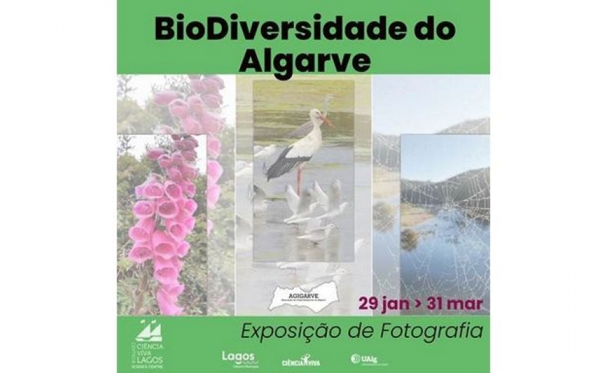 Exposição de Fotografia | Biodiversidade do Algarve