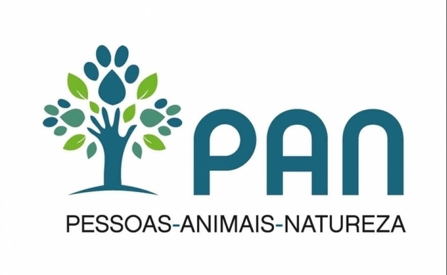 Autárquicas: PAN apela ao voto para reforçar políticas sociais e de bem-estar animal