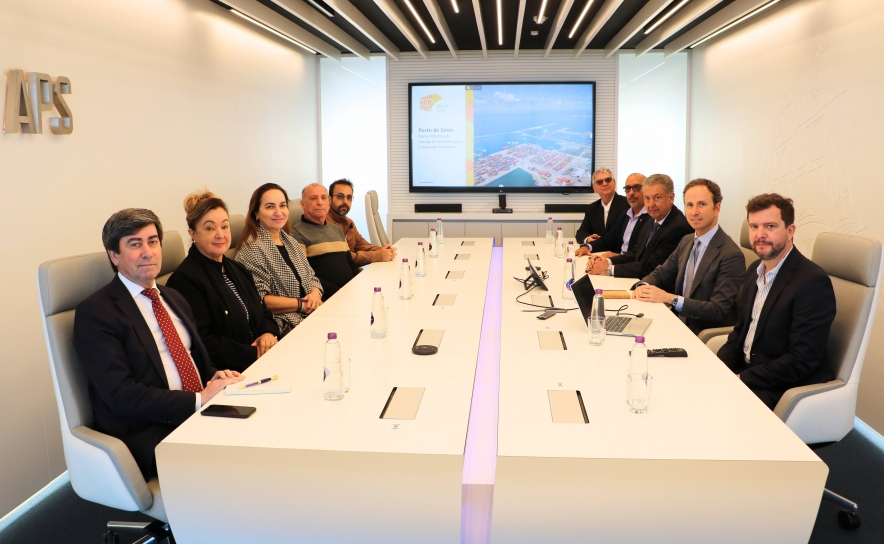 Delegação Brasileira de Goiás em visita ao Porto de Sines Delegação Brasileira de Goiás em visita ao Porto de Sines