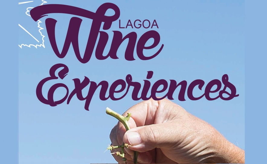 Lagoa Wine Experiences realiza-se a 17 setembro 