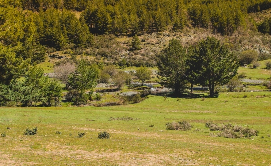 IRS para Terrenos Rústicos: guia simplificado para proprietários