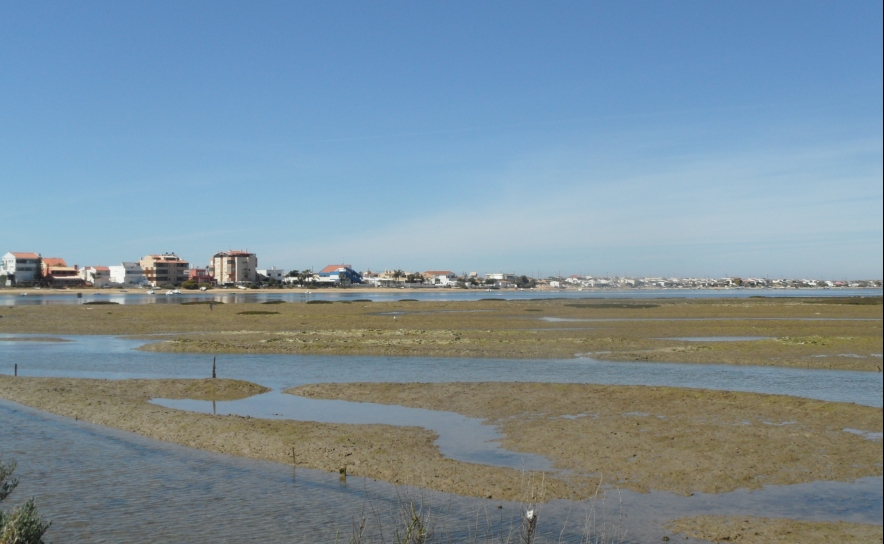 Ações prioritárias e valorização da Ria Formosa em debate na sexta-feira na AR