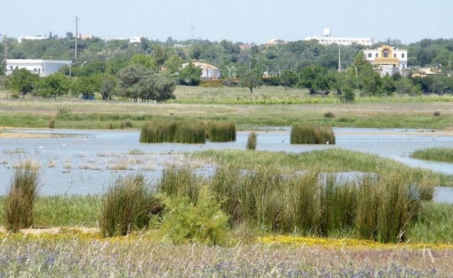 Lagoa dos Salgados: promotores pedem 8 milhões de indemnização a Silves