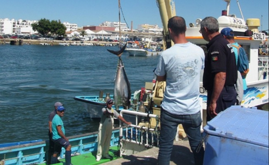 Polícia Marítima e DGRM fiscalizam descargas de atum no porto de Olhão