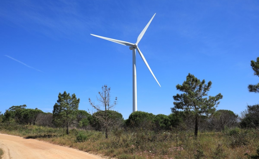 Câmara de Lagos aprova a criação do Conselho Municipal de Ambiente e Alterações Climáticas