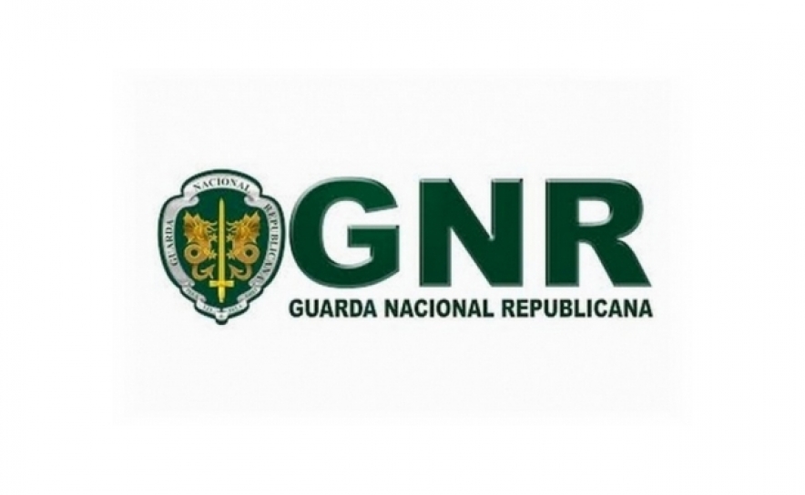 GNR deteta mais de 350 infrações no transporte de mercadorias