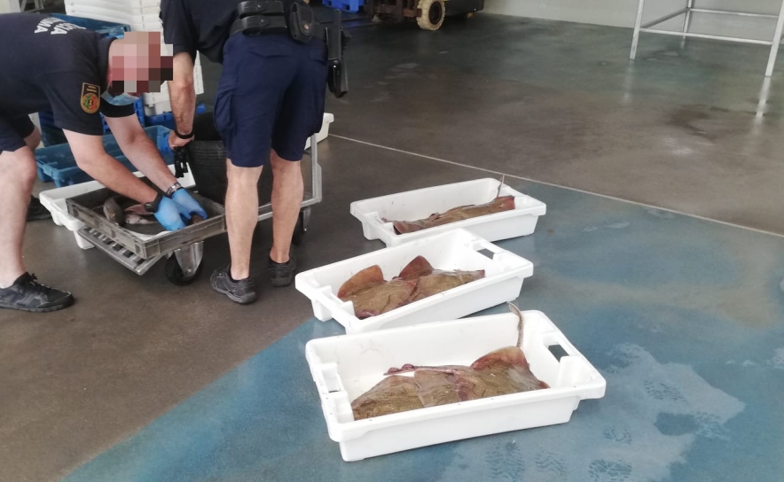 Polícia Marítima apreende cerca de 35kg de pescado no varadouro da praia de Monte Gordo