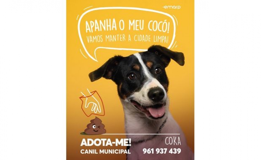 «Seja Cãosciente»