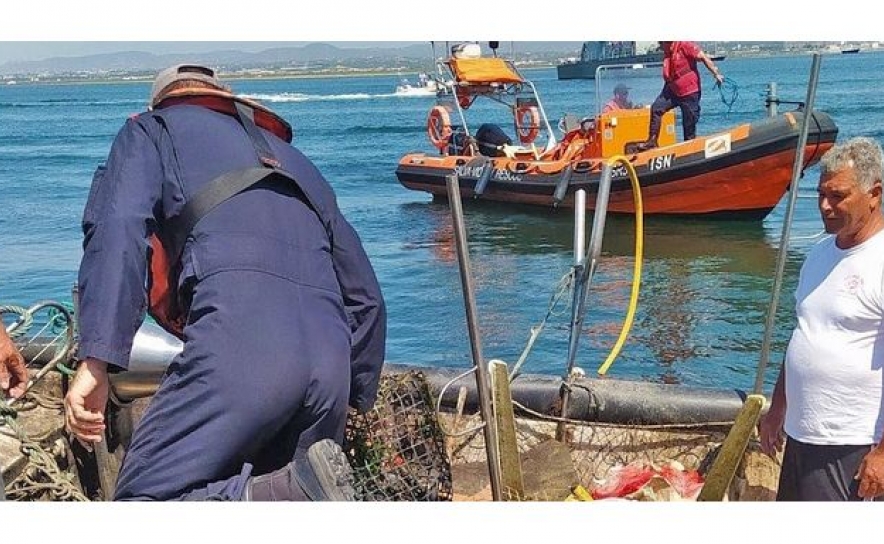 Zoomarine promove ação de limpeza subaquática e costeira em Silves e Albufeira, a 19 de maio