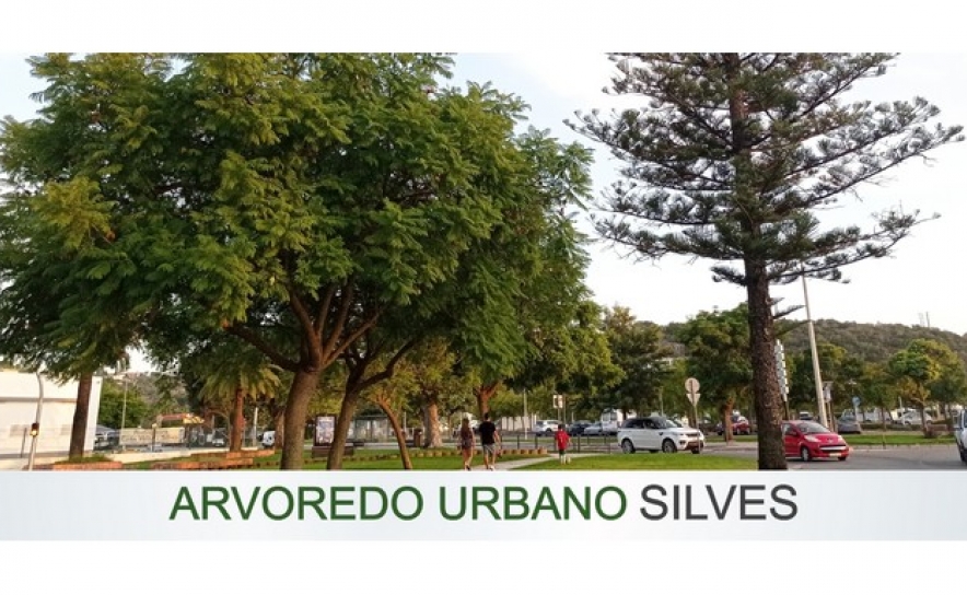 MUNICIPIO DE SILVES JÁ INVENTARIOU MAIS DE 2.200 ARVORES NA CIDADE DE SILVES