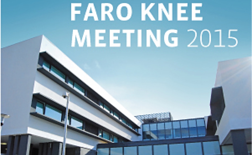 Faro Knee Meeting 2015