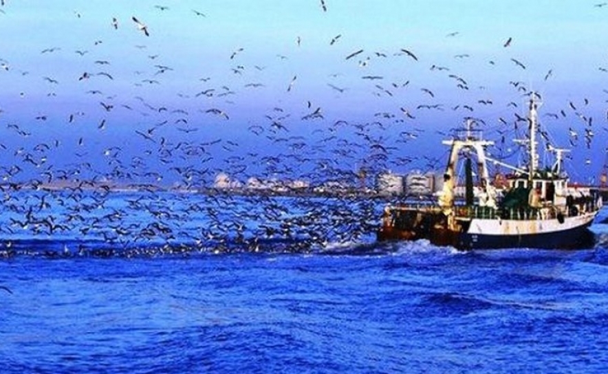 Licenciamento de pesca profissional para 2020. Não precisa de pedir renovação