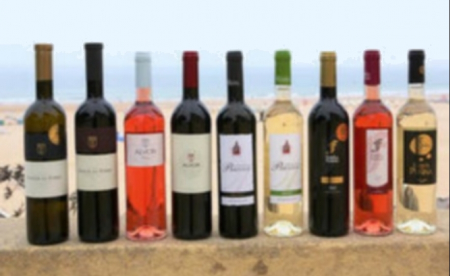 Portimão Wine Tasting 2016