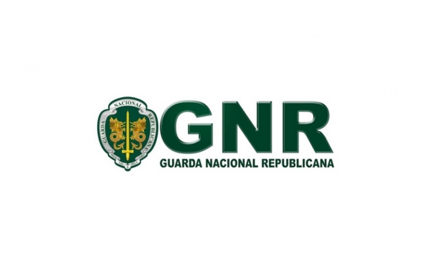 Campanha «Ao volante, o telemóvel pode esperar»