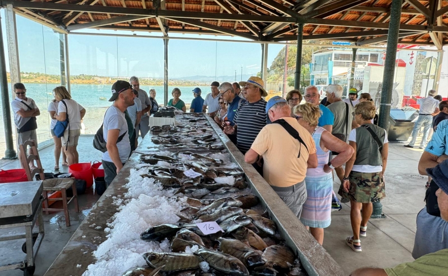 Mercadinho de Peixe 